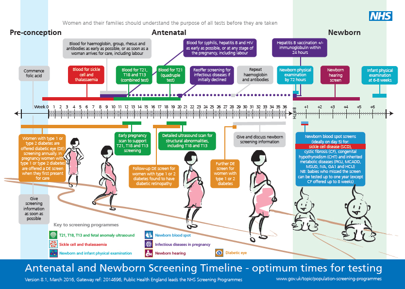 Antenatal and Newborn Screening Timeline – optimum times for testing